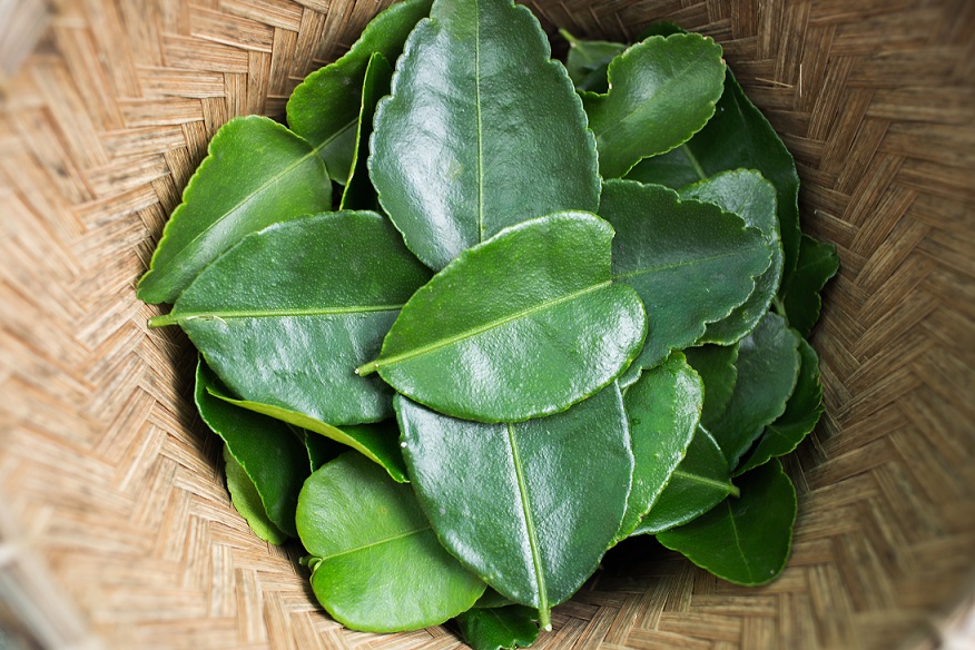 How To Use And Store Makrut Lime Leaves